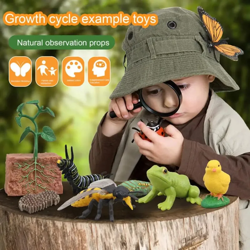 Color: DEEP BLUE - Montessori Life Cycle Animal Figures With Flash Cards Educational Matching Game Creative Biology Model Learning Teaching Aids