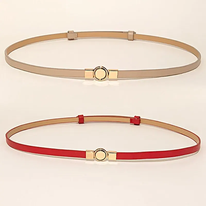 Belt Length: 105CM, Color: Other - 2Piece Combination Set Four Seasons Multicolor SelfStretch Dress With Womens Belt