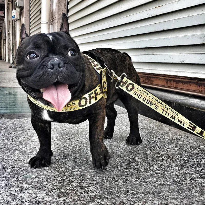 Color: Pink, Size: L - Fashion Dog Collar Leash Set Gold Chain Nylon Pets Dog Collar Leash Long Rope Lettered Collar Perro Collar For Pitbull Puppy Dog