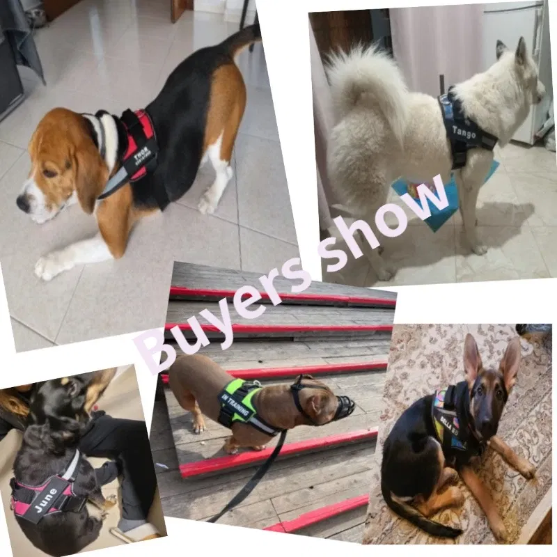 Color: Black, Size: XL - Custom Dog Harness Reflective and Breathable Adjustable Tank Top Free Personalized  Name Label Pet leash Set