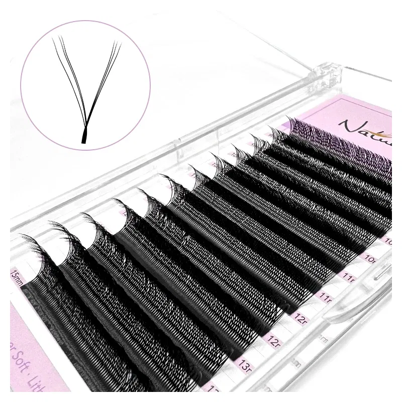 Color: Brushed Slate, Curl: C, Thickness: 0.07mm, Length: 12mm - NATUHANA 3D 4D WW  Shaped Eyelash extensions 0.07mm C D L LU Curl Premade Fans Faux Mink Volume Lashes Korean Make Up Tool