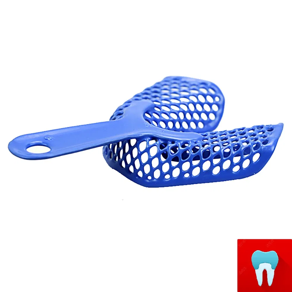 Color: black - Dental Impressions Tray Plastic-Steel Teeth Holders Dentistry Instrument Oral Hygiene Dentist Materials Dental Trays Tools