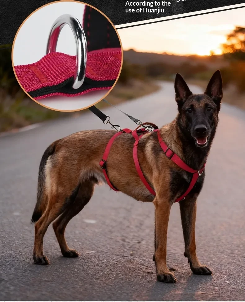 No Pull Dog Harness NZ