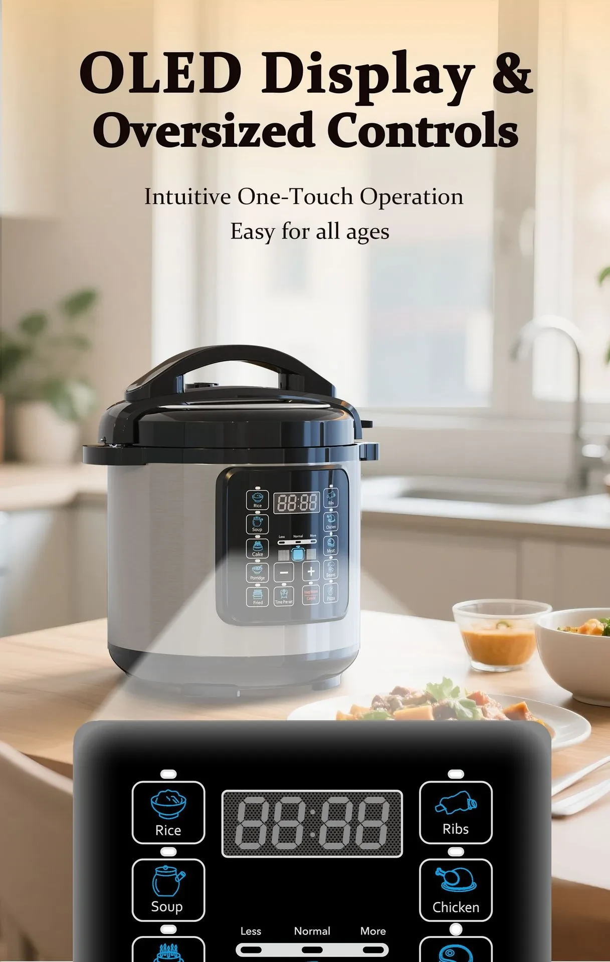 Pressure Cooker Pan