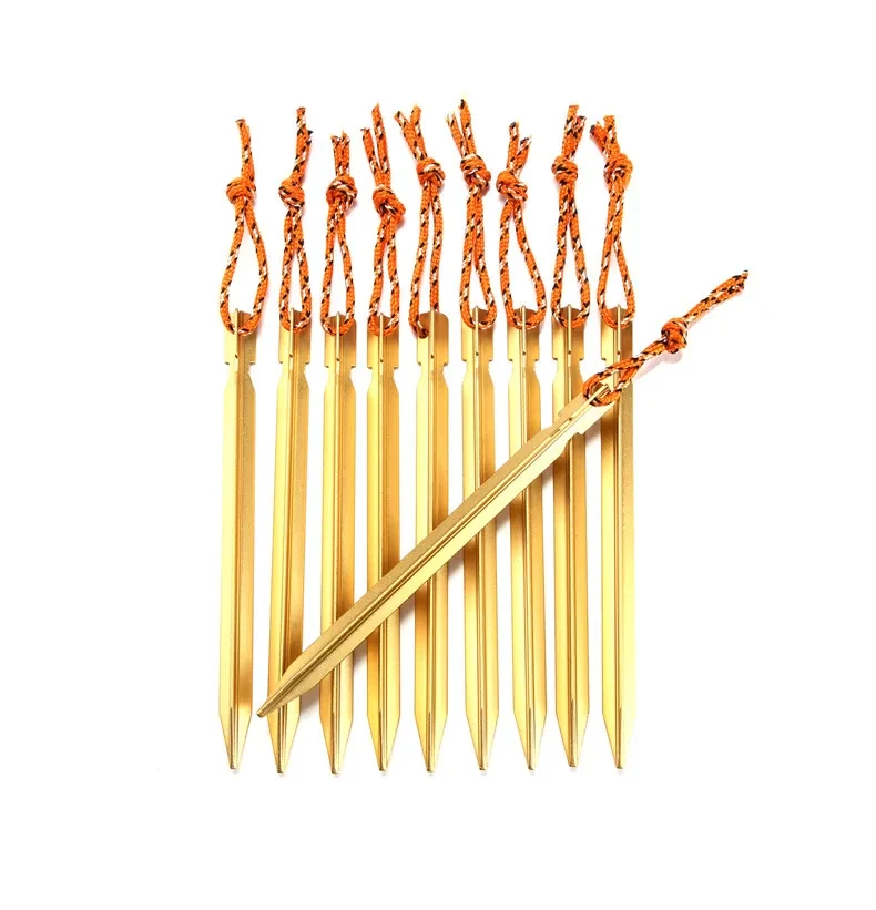 Tent Pegs