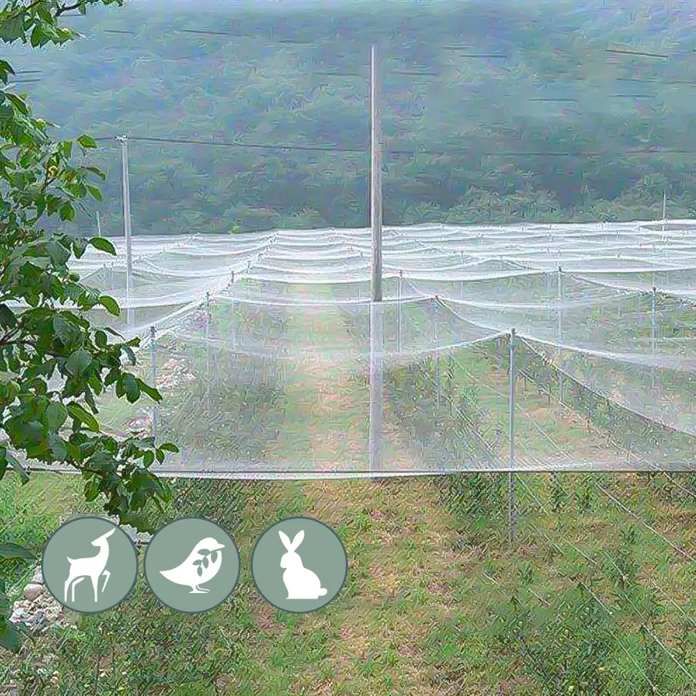 Color: Silver, Size: XXL - 3x1-20M Anti-bird Netting Garden Outdoor Pest Barrier Knotted Square Mesh Protection Net Extra Strong Poultry Breeding Nylon Net