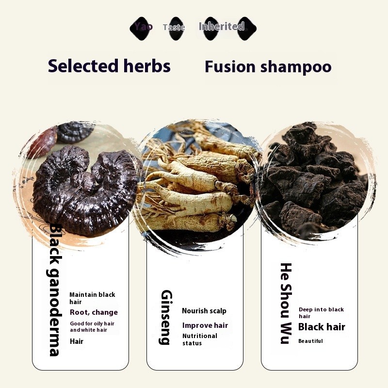 Ginger Plant Extract Anti-Hair Loss Hair Shampoo