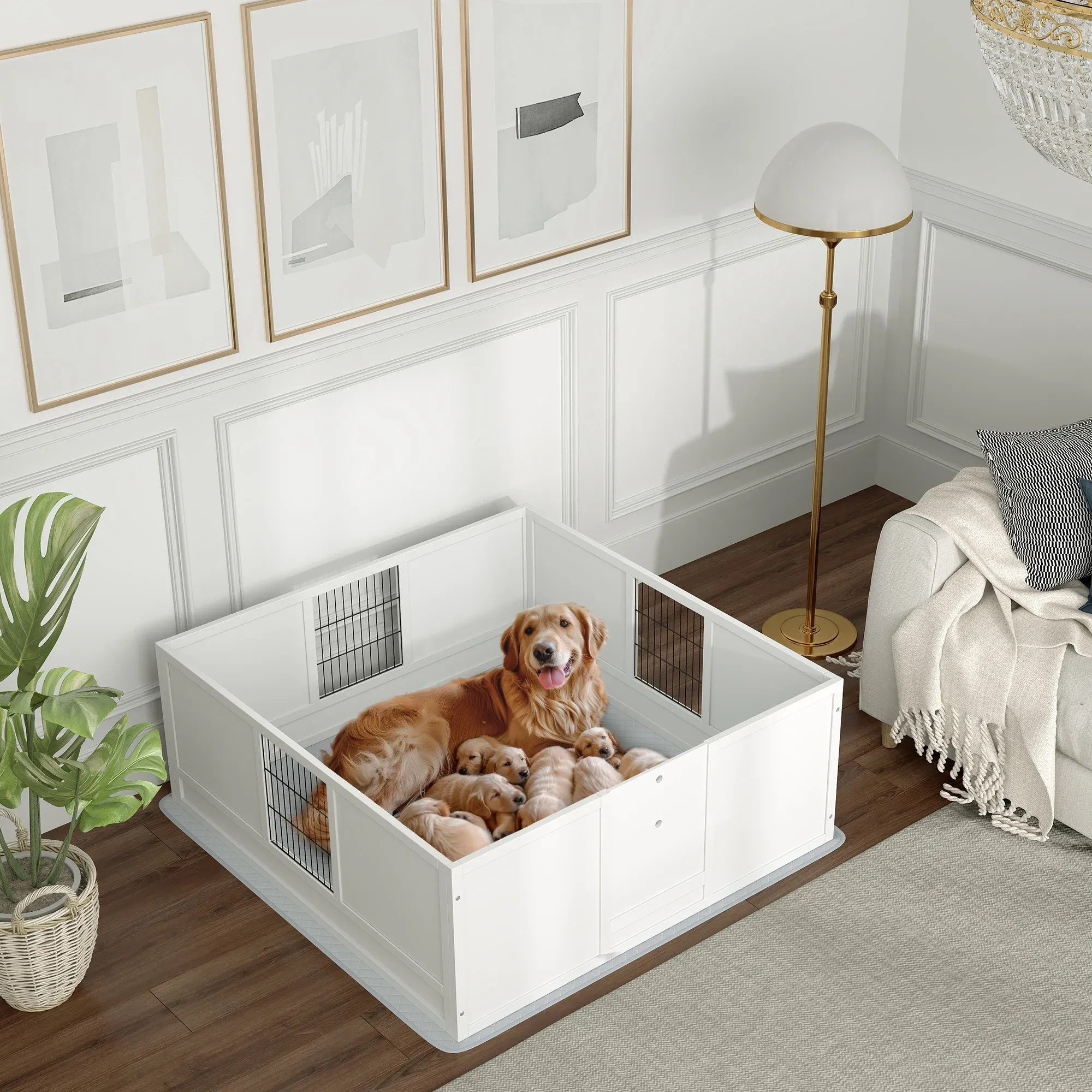 Whelping Box NZ