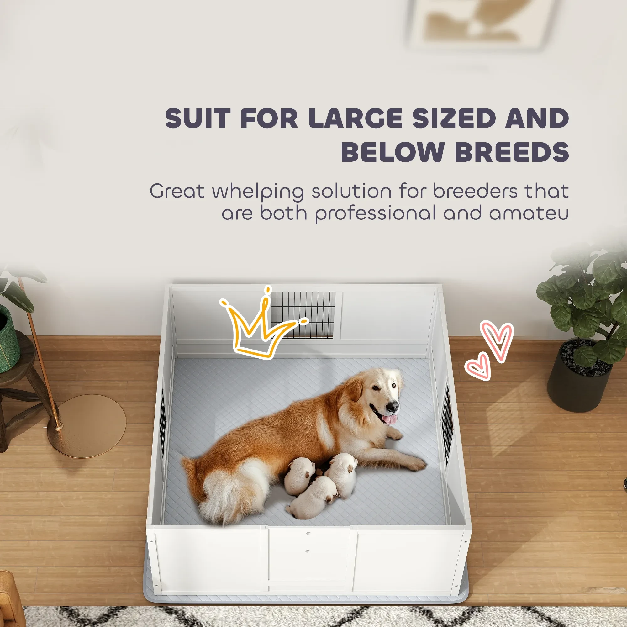Whelping Box NZ