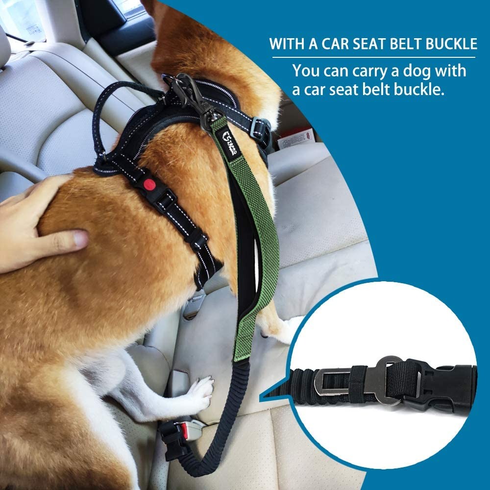 Roamer™ Bungee Dog Leash Stretch Webbing Hands-Free Leash