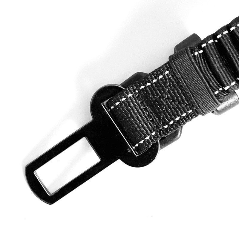 Roamer™ Bungee Dog Leash Stretch Webbing Hands-Free Leash