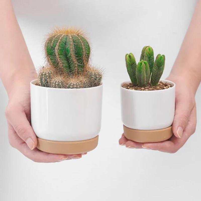 Color: Yellow - 1pcs Succulent Plant Pot Six-sided Ceramic Pot Succulent Flowerpot Set With Bamboo Support For Desktop