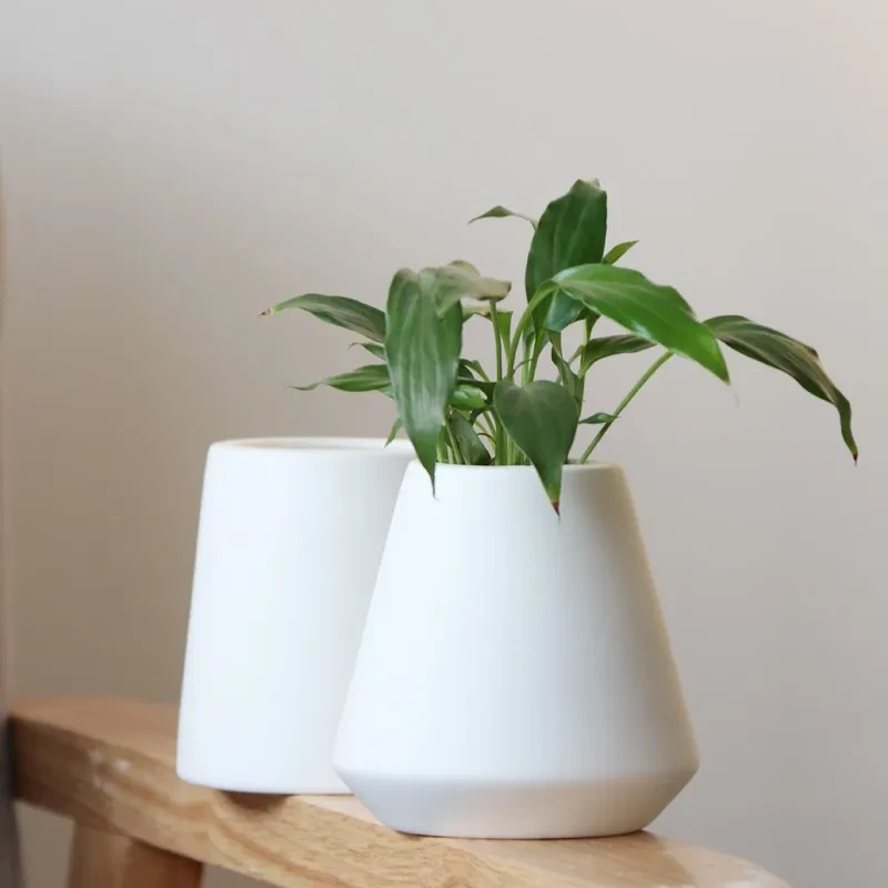 White Ceramic Planter