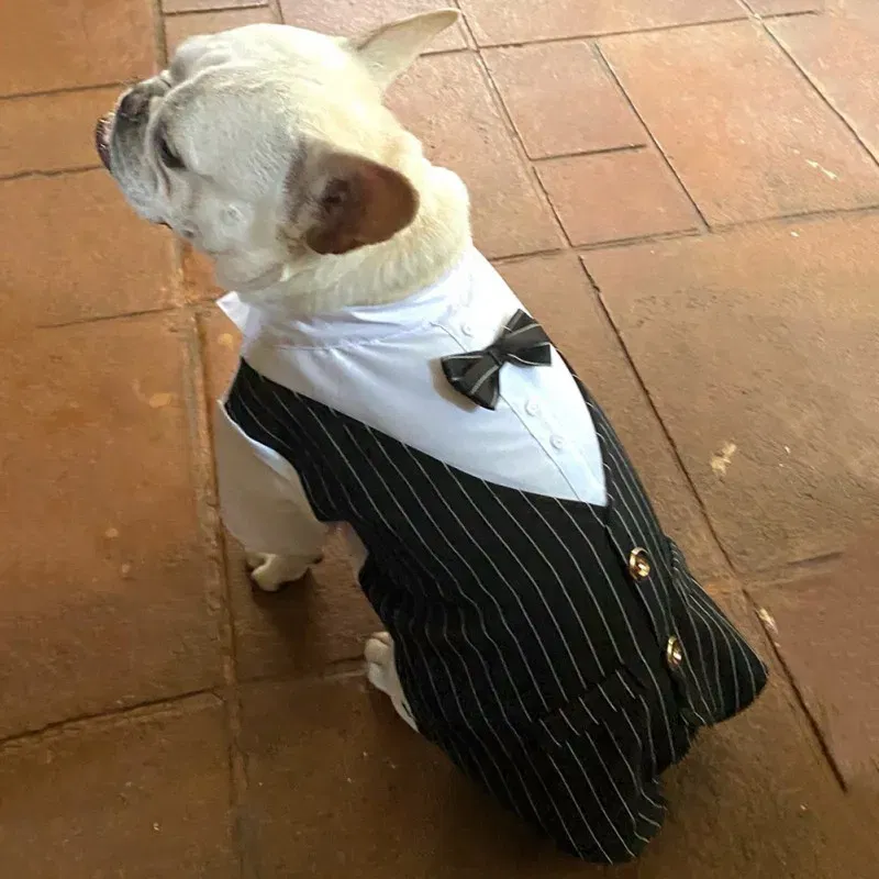 Color: Dark Brown, Size: XXL - Dog Gentleman Wedding Suit Clothes Dog Suit Bow Tie Clothes Halloween Christmas Costume For Small Dogs Teddy Bulldog