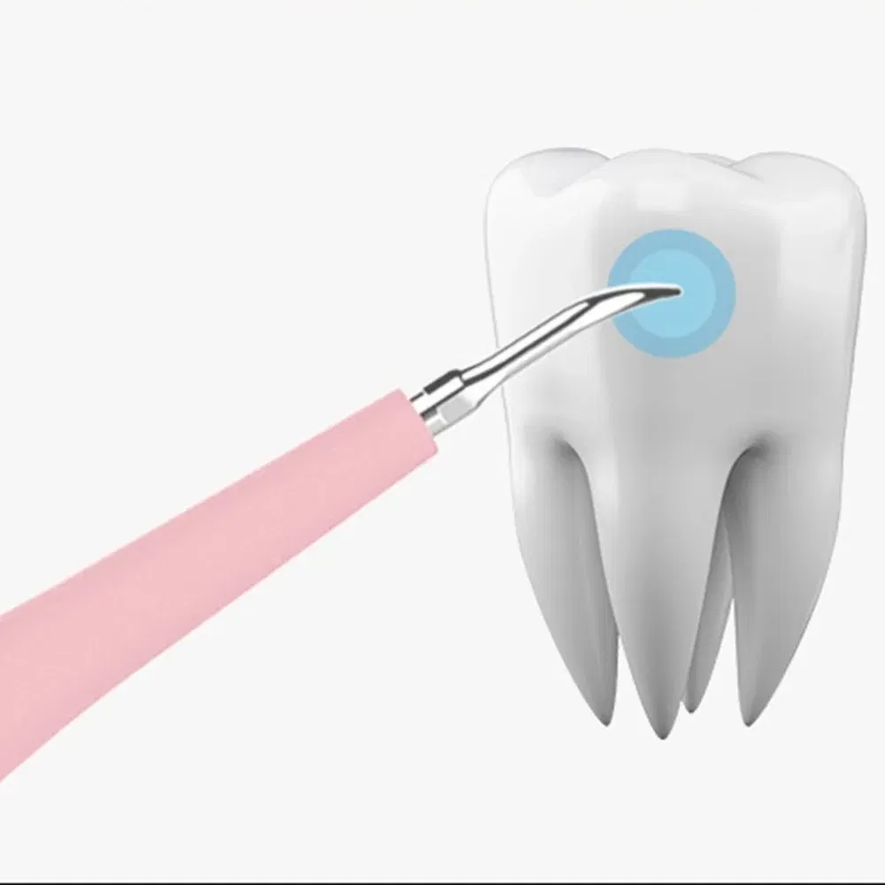 Color: Blue - Portable Electric Sonic Tooth Scaler Tooth Cleaner Calculus Stains Tartar Remover Tool Teeth Whitening Oral Hygiene Dropshipping