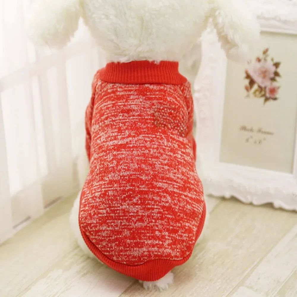 Size: M, Color: Yellow - Dog Warm Clothes Spring Autumn Winter Cute Fashion Jacket Round Neck Sweater Pet Supplies Teddy Dog Cat Clothing Pet Accessories