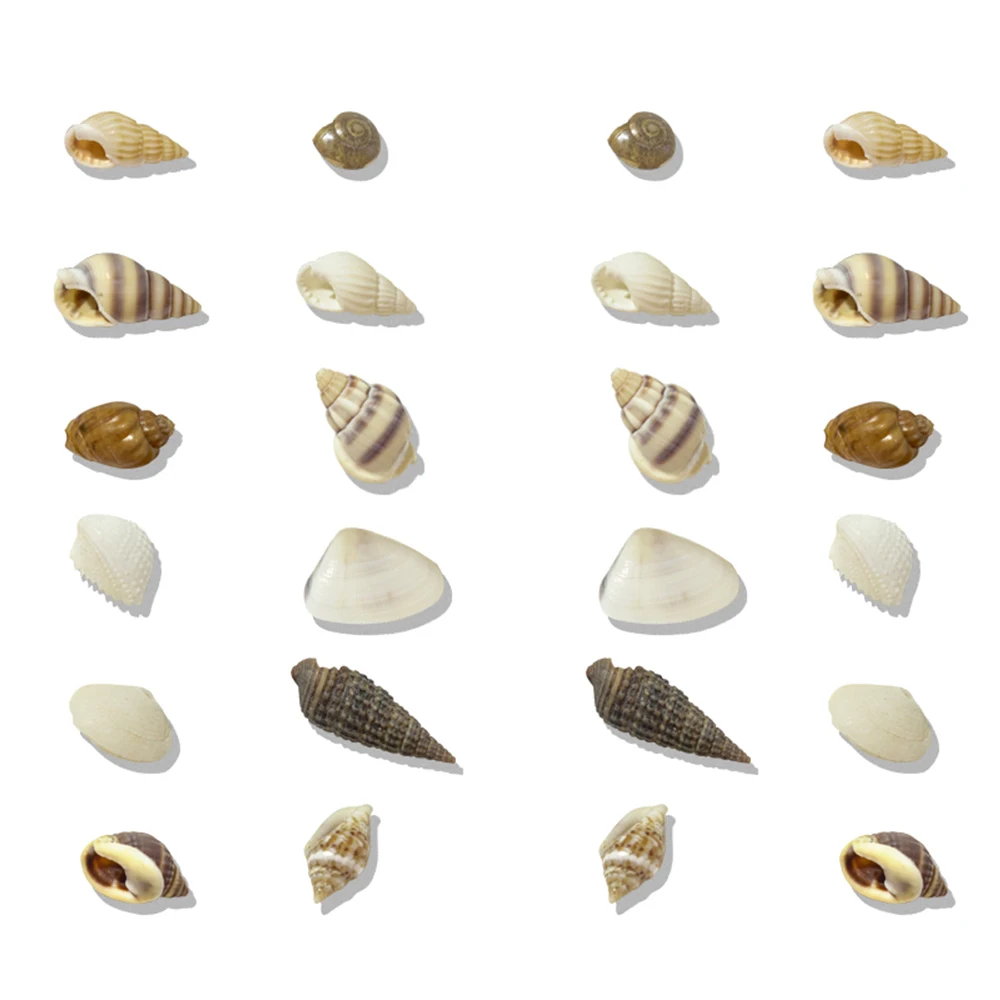 Color: Beige - 2Box Summer Nail Art Rhinestones Ocean Charms Shell Starfish Conch Nail Studs Jewelry Sea Series Designs DIY Manicure Decoration