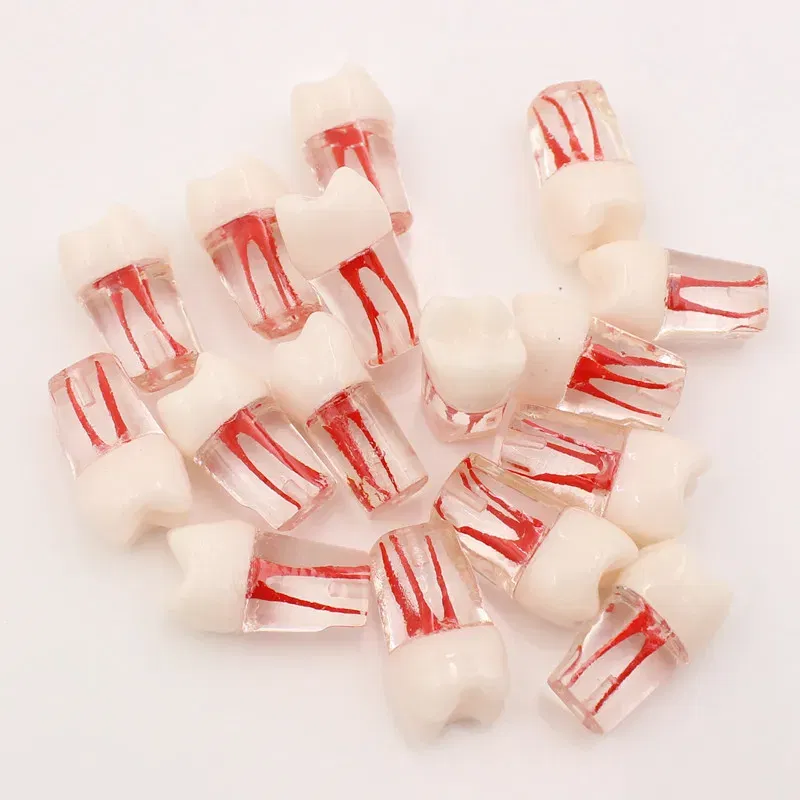 Color: Pink - 10Pc Dental Tooth Model Endodontic Root Canal Block RCT Practice Pulp Cavity Dentistry Replace Resin Teeth Endo Training Student