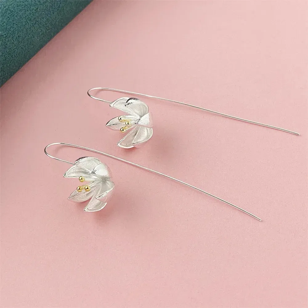 Gem Color: Dark Grey - 925 Silver Heart Shape Earrings Women Exquisite Student Jewelry Accessories