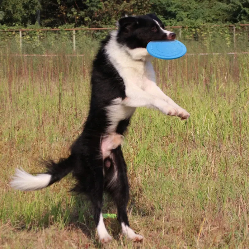 Color: Yellow - Dog Flying Discs Silicone Flying Saucer Floating Bite Resistant Dog Interactive Game Toy Pet Training Supplies