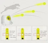 Dog Automatic Ball Launcher