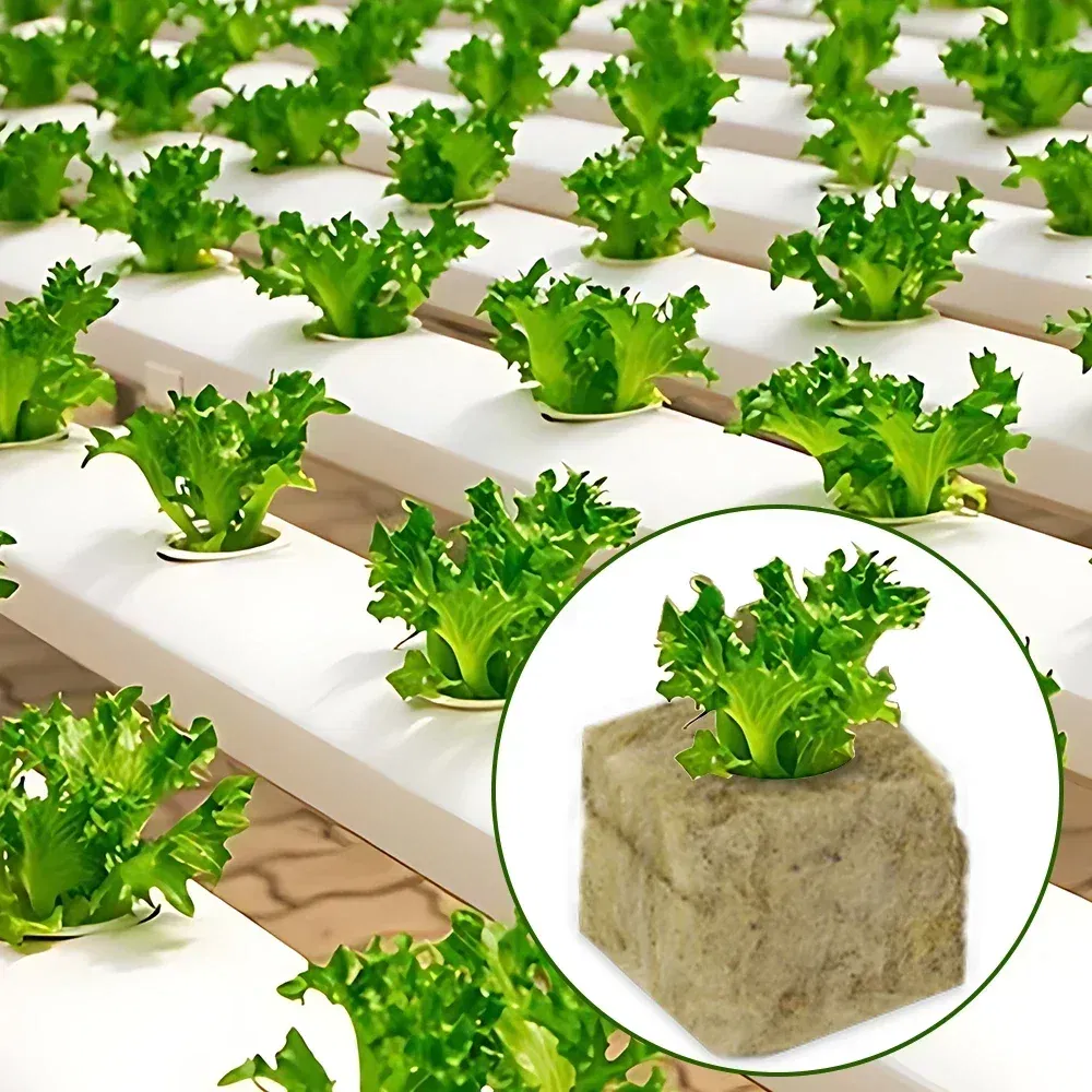 Color: Yellow - Stonewool Hydroponic Grow Media Cubes Plant Cube Soilless Substrate Seeded Planting Spong Plug Seedling Block Garden Tools