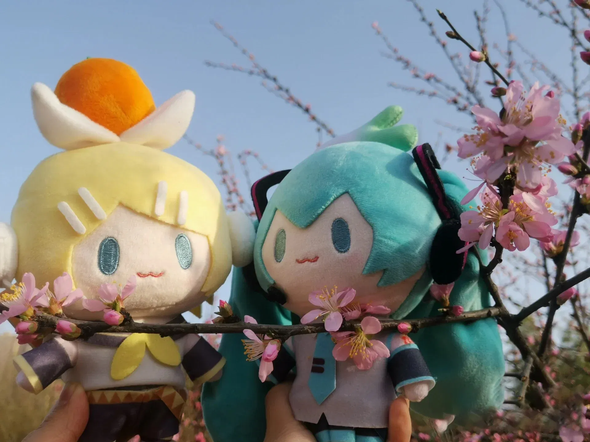 Color: Brown - 15cm Hatsune Miku Kawaii Q Version Figure Plush Doll Anime Peripheral Plush Stuffed Toy Collection Model Ornament Toys Gifts