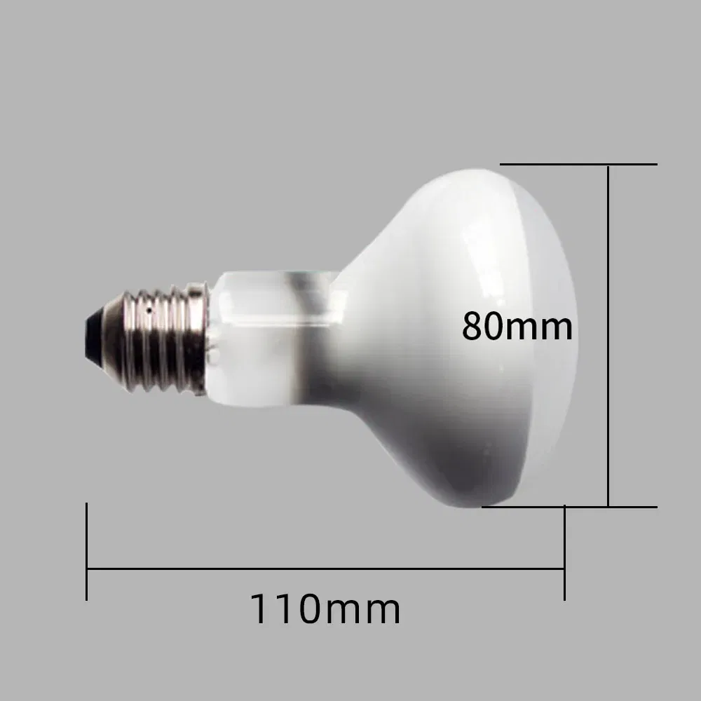 Color: plum, Ships From: CHINA - UVA+UVB Heating Lamp uv light Suitable For Turtle Lizard Reptile Pet Waterproof Fluorescent Lamp Temperature Controller 220V