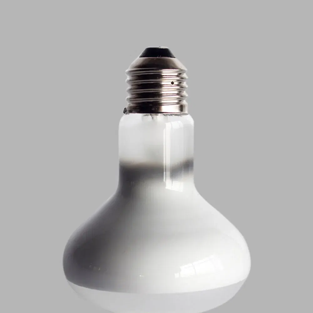 Color: plum, Ships From: CHINA - UVA+UVB Heating Lamp uv light Suitable For Turtle Lizard Reptile Pet Waterproof Fluorescent Lamp Temperature Controller 220V