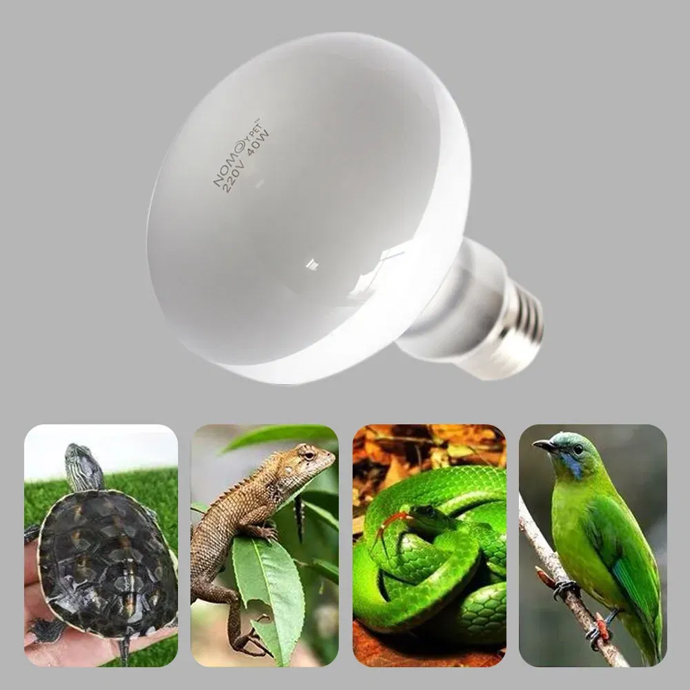 Color: plum, Ships From: CHINA - UVA+UVB Heating Lamp uv light Suitable For Turtle Lizard Reptile Pet Waterproof Fluorescent Lamp Temperature Controller 220V