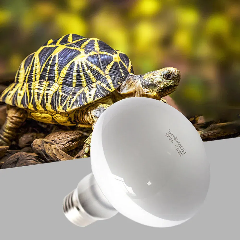 Color: plum, Ships From: CHINA - UVA+UVB Heating Lamp uv light Suitable For Turtle Lizard Reptile Pet Waterproof Fluorescent Lamp Temperature Controller 220V