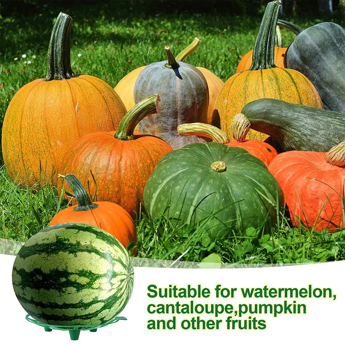 Color: Beige, Size: 4XL - 10Pcs Watermelon Stand Fruit Stand Support Basket Frame Vegetables Plant Tray Rack Melon Squash Pumpkin Protective Holder