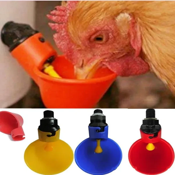 Chicken Drinker