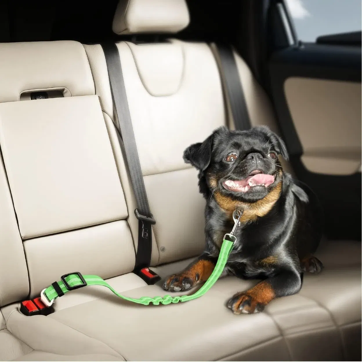 Color: SKY BLUE - Universal Adjustable Cat Dog Seat-Belt Elastic & Reflective Vehicle Nylon Seat Belt for Small Medium Large Dog,Pet Accessoires
