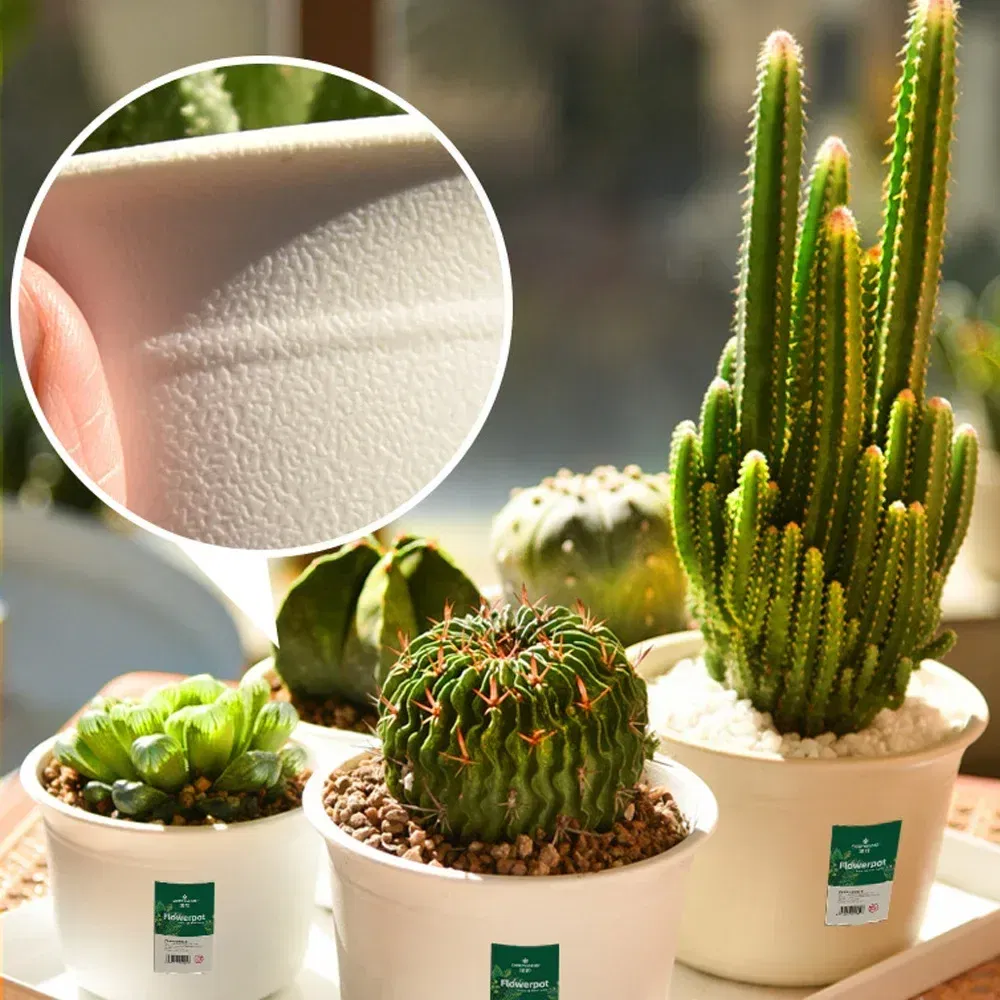 Color: WHITE, Sheet Size: S - OIMG Plastic Round Thick Imitation Ceramic Household Indoor Planting Fleshy Green Fruit and Vegetable Resin Plastic Flower Pot