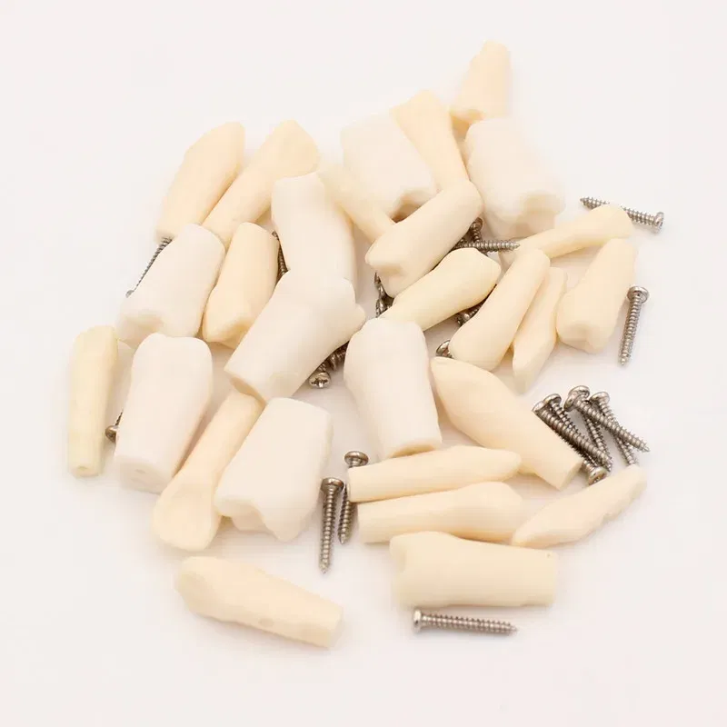 Color: Red - 10Pc Dental Tooth Model Endodontic Root Canal Block RCT Practice Pulp Cavity Dentistry Replace Resin Teeth Endo Training Student