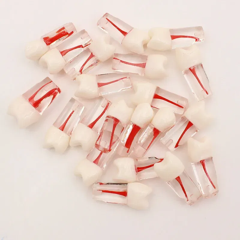Color: Red - 10Pc Dental Tooth Model Endodontic Root Canal Block RCT Practice Pulp Cavity Dentistry Replace Resin Teeth Endo Training Student