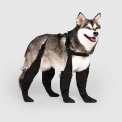 Adjustable and Connected Dog Boots - Ultimate Paw Protection