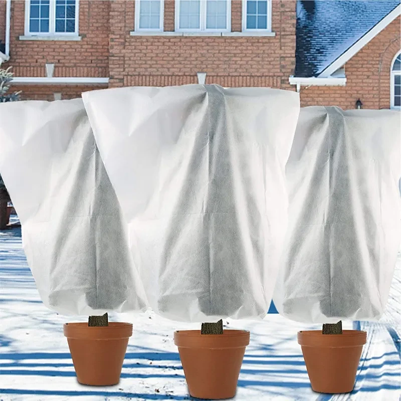 Cold Weather Plant Cover