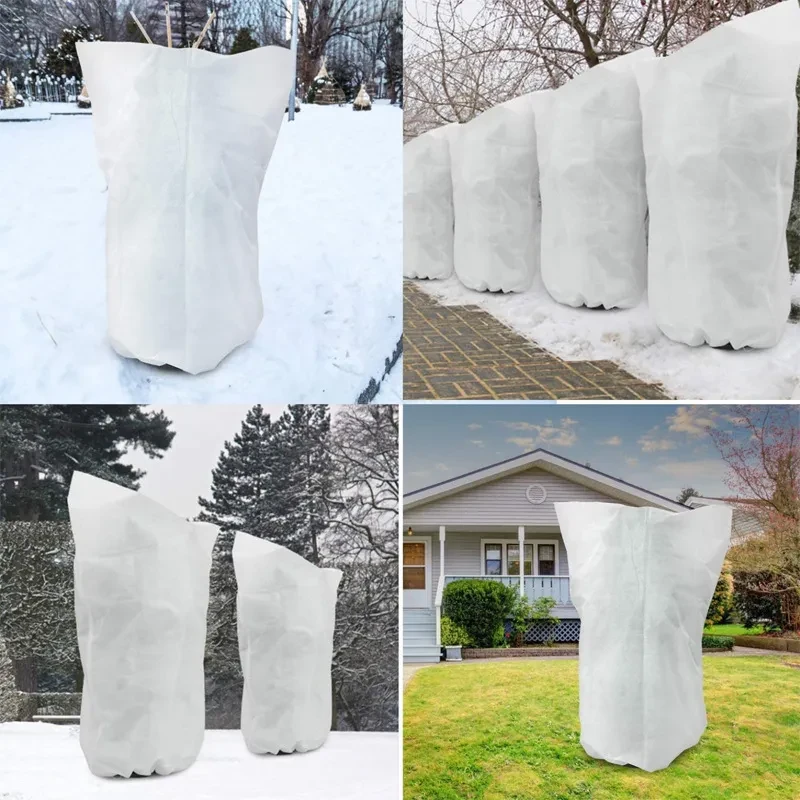 Cold Weather Plant Cover