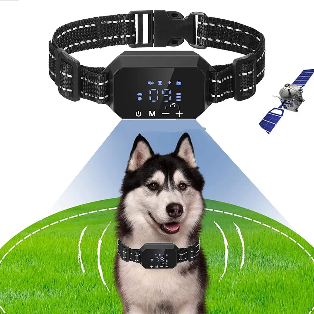 Dog Boundary Collars
