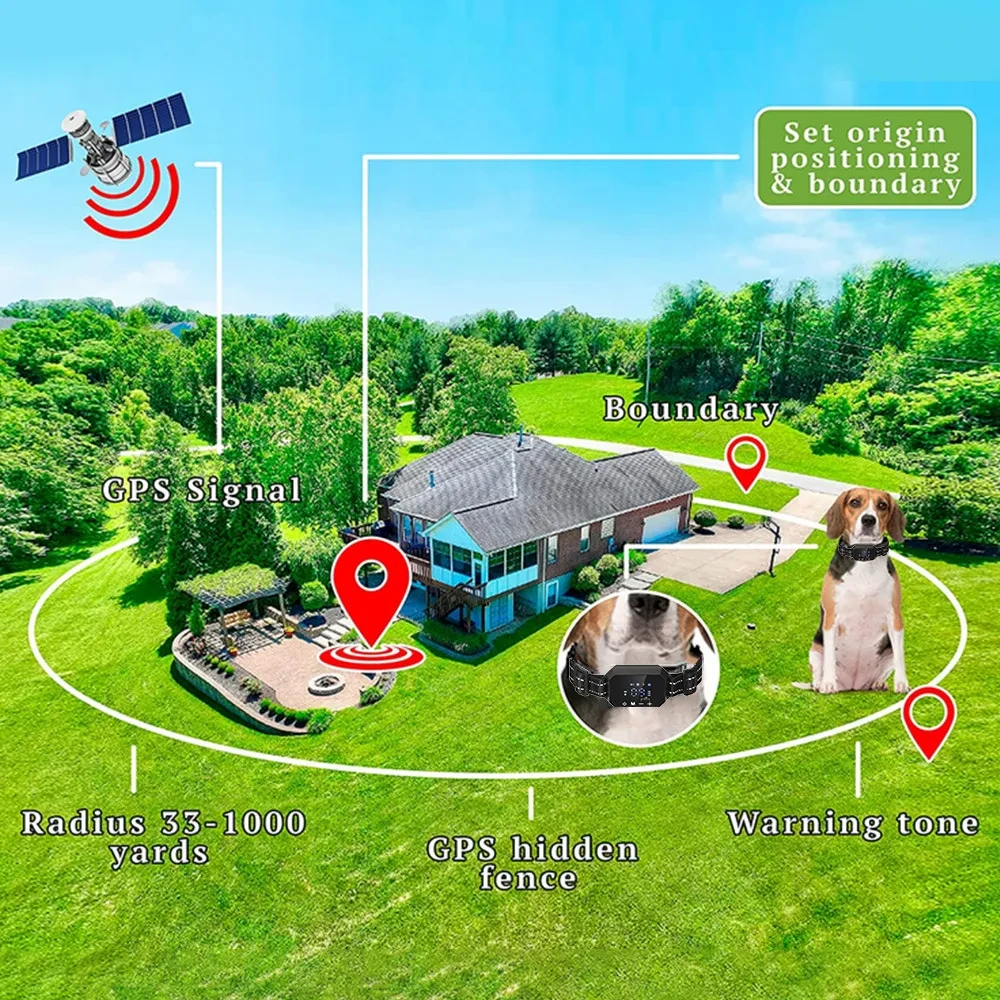 Dog Boundary Collars