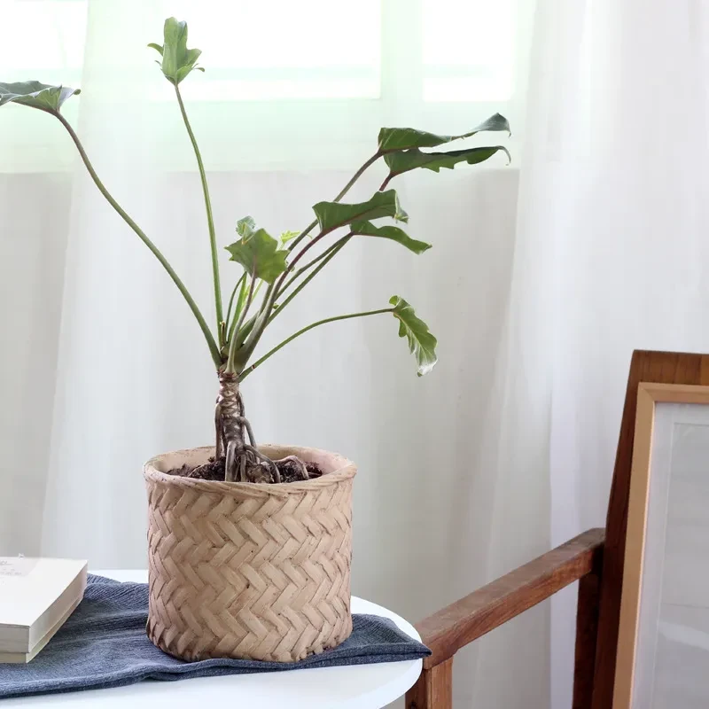 Bamboo Plant Pot