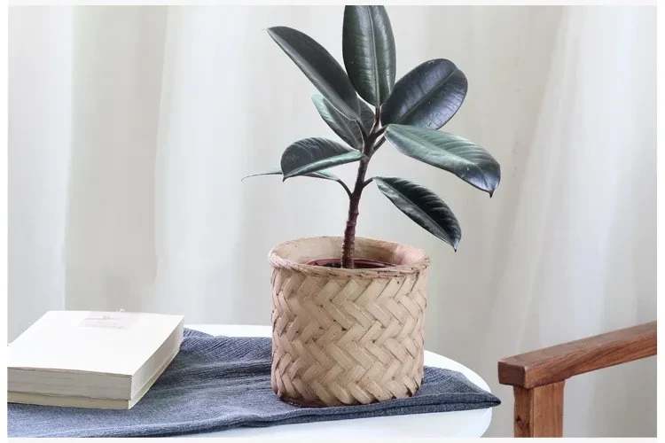 Bamboo Pots for Sale