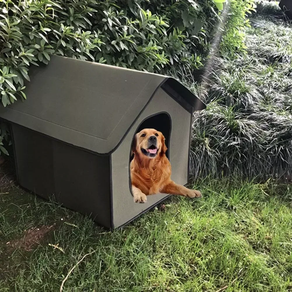 Outside Dog Kennels