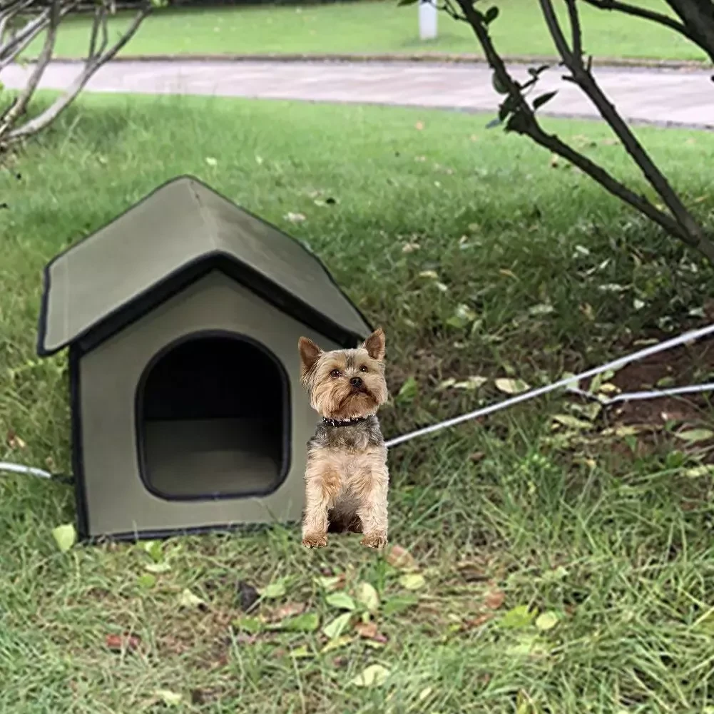 Outside Dog Kennels