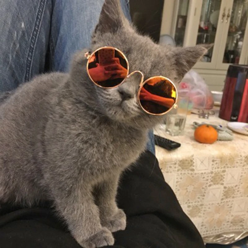 Color: WHITE - Doll Cool Glasses Pet Sunglasses For BJD Blyth American Grils Toy Photo Props Dropship