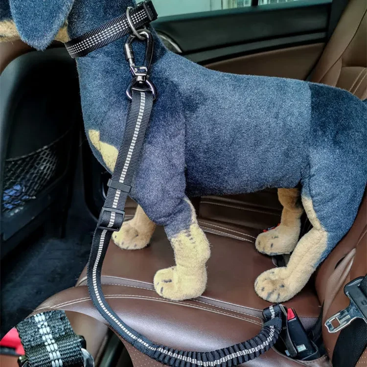 Dog Seat Belt