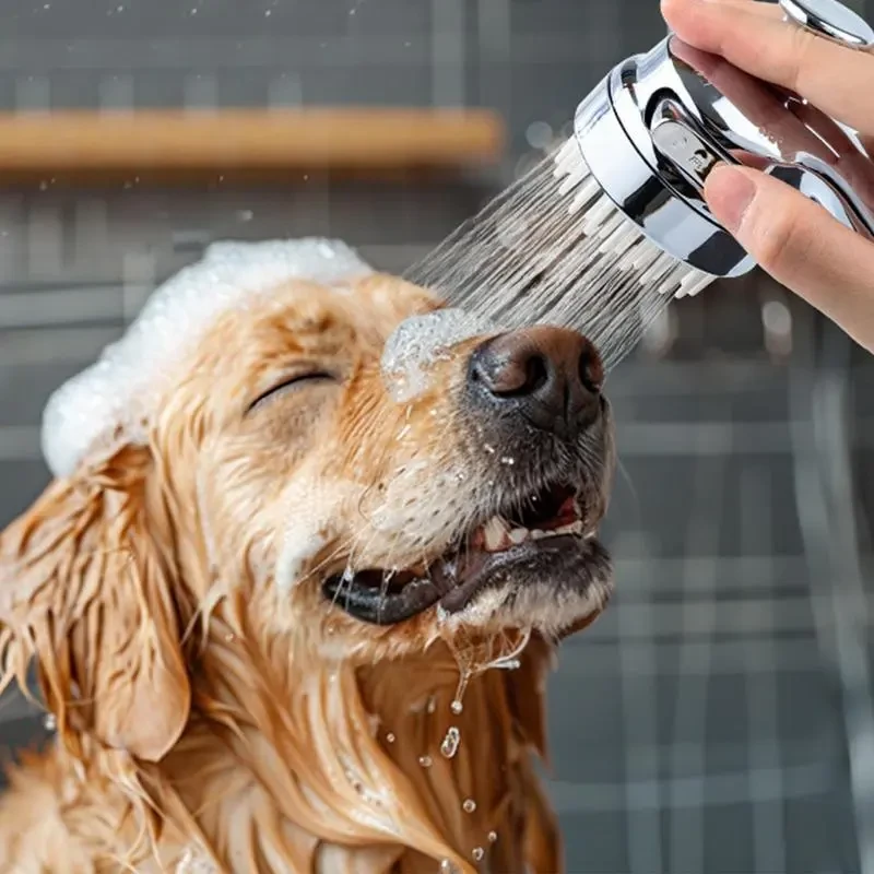 Dog Shower Hose