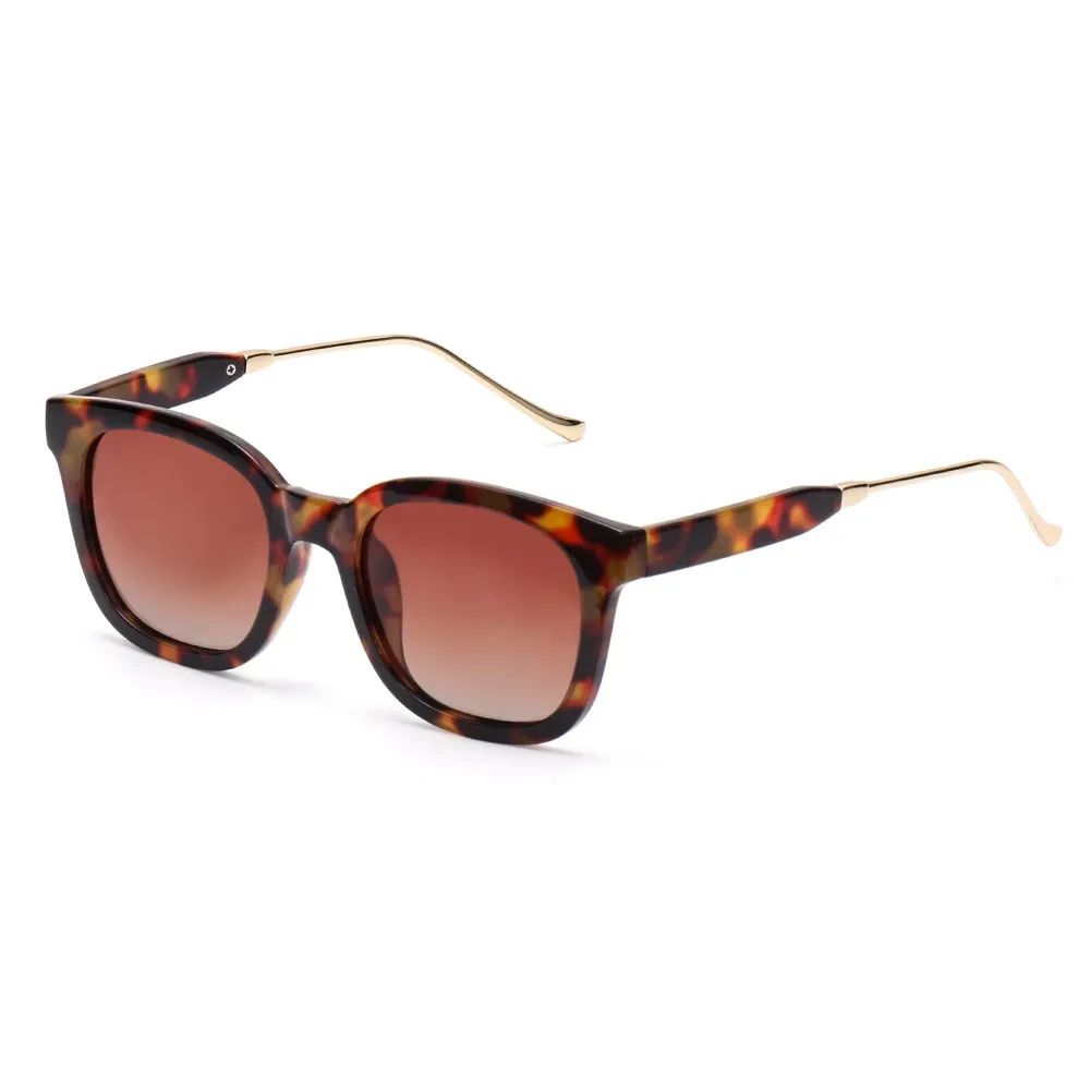 Women's Sunglasses NZ